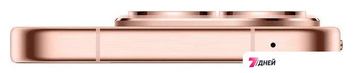 Телефон Huawei Pura 80 HED-LX9 12GB/256GB (золотой) - Изображение №12 — Интернет-магазин 7 дней