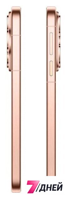 Телефон Huawei Pura 80 HED-LX9 12GB/256GB (золотой) - Изображение №10 — Интернет-магазин 7 дней