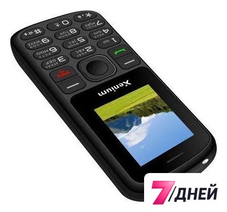 Кнопочный телефон Xenium X160 (черный) - Изображение №5 — Интернет-магазин 7 дней