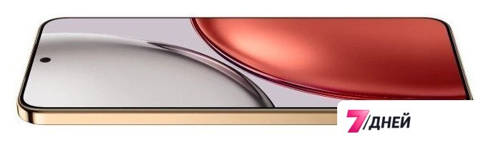 Телефон HONOR X9d 12GB/256GB международная версия (терракотовый) - Изображение №3 — Интернет-магазин 7 дней