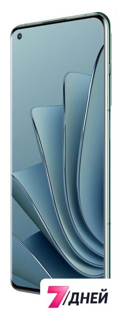 Телефон OnePlus 10 Pro NE2213 12GB/256GB европейская версия (изумрудный лес) - Изображение №4 — Интернет-магазин 7 дней
