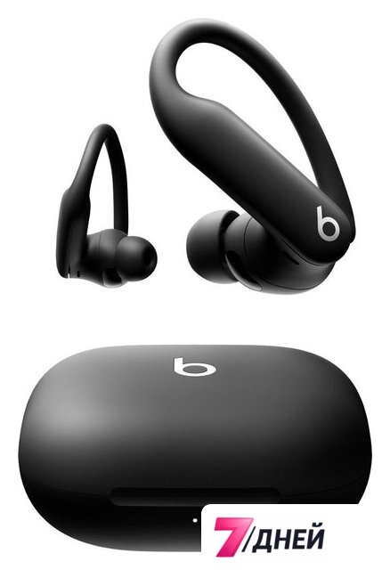 Наушники Beats Powerbeats Pro 2 (черный) - Изображение №1 — Интернет-магазин 7 дней