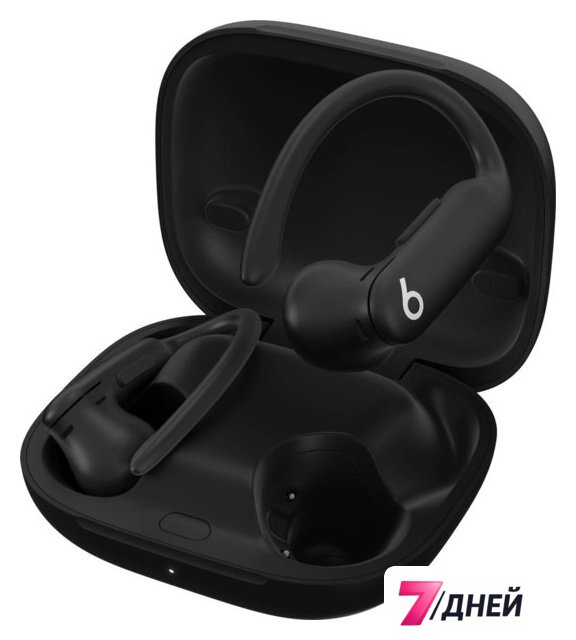 Наушники Beats Powerbeats Pro 2 (черный) - Изображение №2 — Интернет-магазин 7 дней