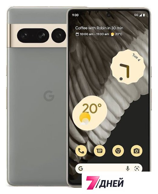 Телефон Google Pixel 7 Pro 12GB/512GB (лесной орех) - Изображение №1 — Интернет-магазин 7 дней