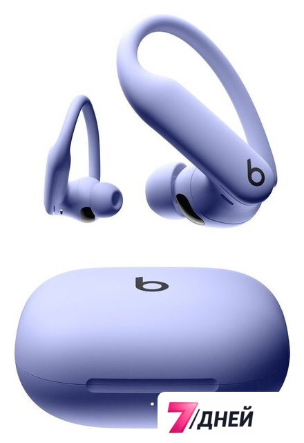 Наушники Beats Powerbeats Pro 2 (сиреневый) - Изображение №1 — Интернет-магазин 7 дней