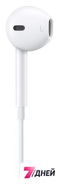 Наушники Apple EarPods (с разъёмом USB Type-C) - Изображение №3 — Интернет-магазин 7 дней