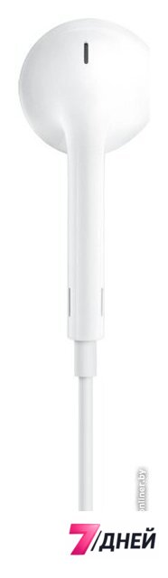 Наушники Apple EarPods (с разъёмом USB Type-C) - Изображение №4 — Интернет-магазин 7 дней