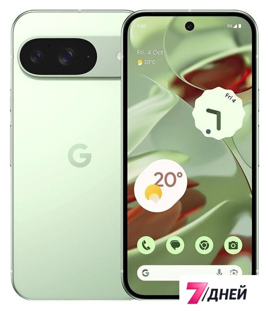 Телефон Google Pixel 9 12GB/256GB (винтергрин) - Изображение №1 — Интернет-магазин 7 дней