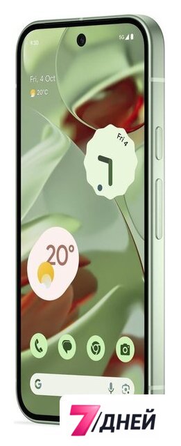 Телефон Google Pixel 9 12GB/128GB (винтергрин) - Изображение №3 — Интернет-магазин 7 дней