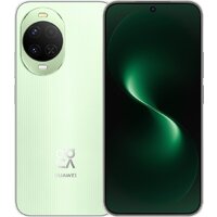 Huawei nova 15 PSN-LX9 Dual SIM 12GB/256GB (мятный, международная версия)