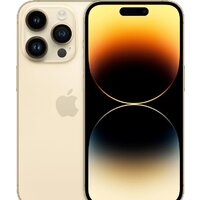 Apple iPhone 14 Pro eSIM 512GB (золотистый)