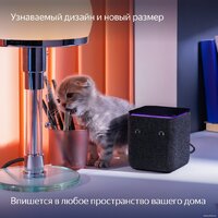 Умная колонка Яндекс Станция Миди (черный) - Превью изображения №12 — Интернет-магазин 7 дней