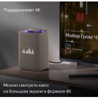 Умная колонка Яндекс Станция Макс (с хабом умного дома Zigbee, бежевый) - Превью изображения №5 — Интернет-магазин 7 дней