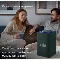 Умная колонка Яндекс Станция Макс (с хабом умного дома Zigbee, зеленый) - Превью изображения №8 — Интернет-магазин 7 дней
