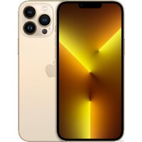 Apple iPhone 13 Pro Max 128GB (золотой)