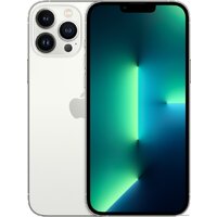 Apple iPhone 13 Pro Max 128GB (серебристый)